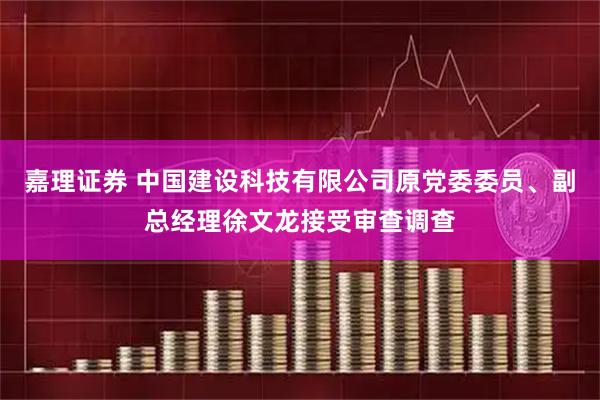 嘉理证券 中国建设科技有限公司原党委委员、副总经理徐文龙接受审查调查