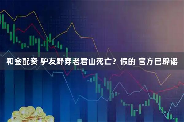 和金配资 驴友野穿老君山死亡？假的 官方已辟谣